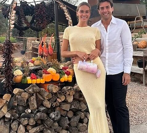 James Argent was planning a family with girlfriend Nicoline Artursson before he was charged with domestic violence, it has been alleged.