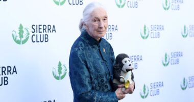 Jane Goodall, 91, reveals secret wish about first marriage to Hugo van Lawick
