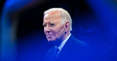 Joe Biden prostate cancer diagnosis latest: Trump and Kamala Harris issue statements