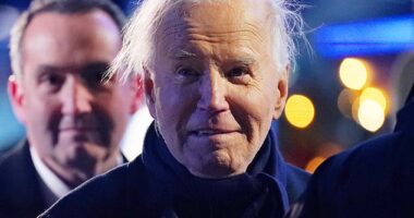 Newly-released recordings of Joe Biden speaking to special counsel Robert Hur in 2023 show the declining president's memory lapses as he struggles to remember when his son Beau died