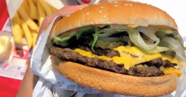 Judge Greenlights Class Action Lawsuit Against Burger King Over Whopper Ads.