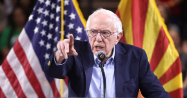 Kamala Lost Because She Prioritized Billionaire Backers Over Working Class: Bernie.