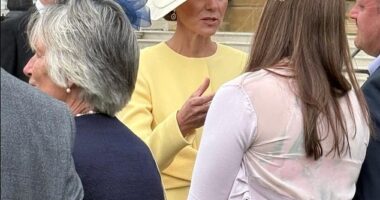The Princess of Wales oozed glamour as she arrived at a garden party at Buckingham Palace this afternoon alongside Prince William