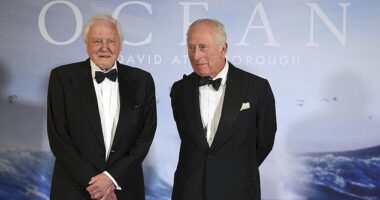 The monarch beamed as he spoke with Sir David Attenborough while the pair posed for pictures together