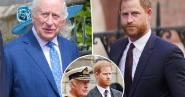 King Charles 'upset' by Prince Harry's reaction to security appeal loss