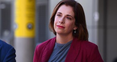 Anika Wells (pictured), the Minister for Aged Care and Sport, has suggested that the Voice may continue in another 'form'