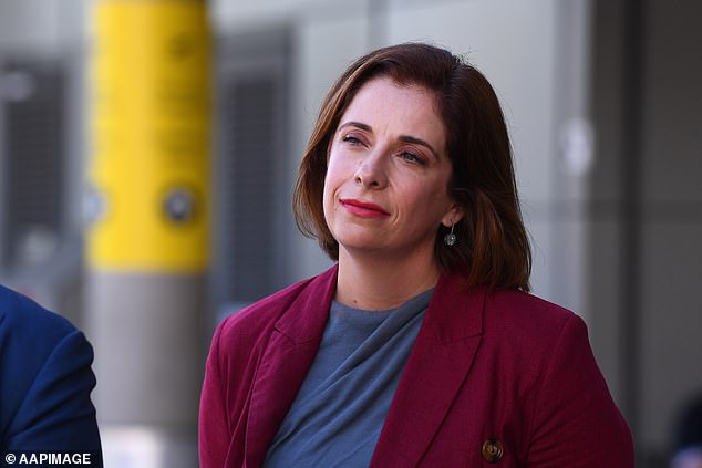 Anika Wells (pictured), the Minister for Aged Care and Sport, has suggested that the Voice may continue in another 'form'
