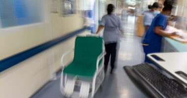Let drug companies see NHS patient data to save lives and boost economy, former cabinet minister says