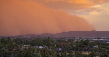 Let the Dust Settle – RedState