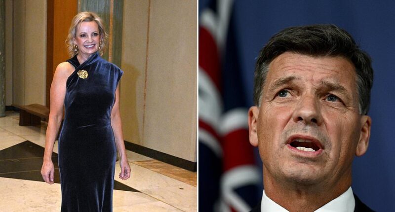 Liberal party leadership race LIVE: And the NEW Liberal leader is... Party room makes stunning call on who will replace Peter Dutton