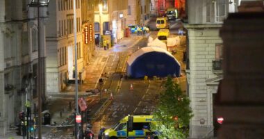 Liverpool parade car crash latest: Man arrested after children among nearly 50 injured by car slamming into fans