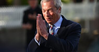 Local elections in numbers: 677 new Reform councillors – while Labour gets no zero votes in some wards