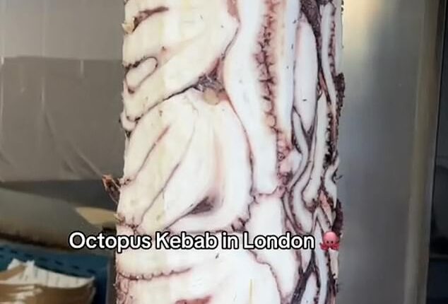 Pescobar in Camden market, London, is serving a kebab with octopus meat (pictured) for £17.50