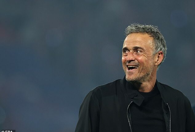 PSG boss Luis Enrique took aim at Ligue 1's 'farmers league' label after eliminating Arsenal