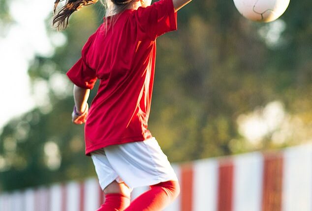 A 46-year-old man has been charged after he allegedly grabbed a young child by the neck at a junior soccer match (stock image)