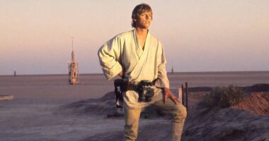 Mark Hamill Has The Perfect Response To This Luke Skywalker Theory