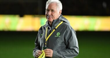 Matildas coach Tom Sermanni calls for urgent action to lift A-League Women to professional standards