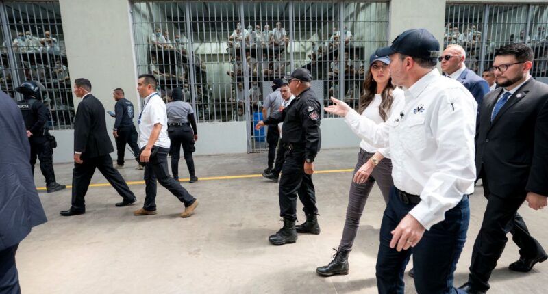 Media Champion Alleged Gangbanger Accused Of Gun Crimes