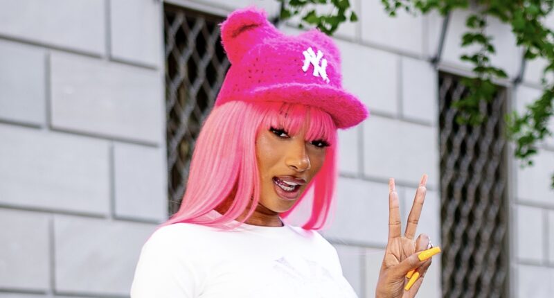 What's That, Sis? Megan Thee Stallion Sparks Questions With Post-Met Gala Social Media Post