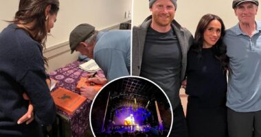 Meghan Markle and Prince Harry attend James Taylor concert