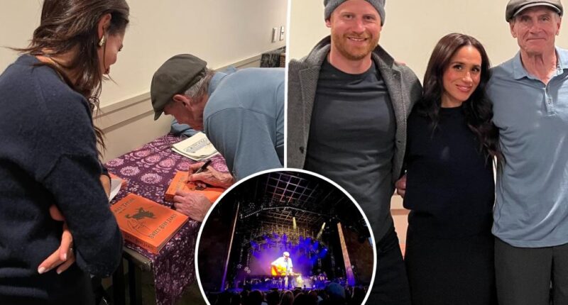 Meghan Markle and Prince Harry attend James Taylor concert