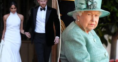 Meghan Markle 'berated' wedding caterer, royal author claims