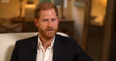 Prince Harry faced a growing backlash from ministers, the Royal Family and the public last night over his bitter attack on King Charles