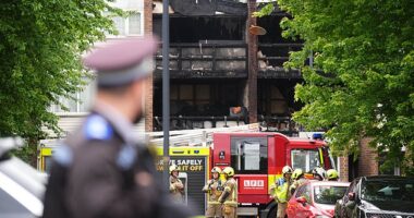 A mother and her three children who died in a London house fire have been named (Pictured: firefighters at the scene yesterday, May 24)