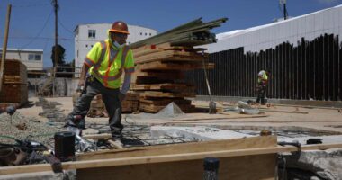 Munich Re, Hannover Re each report big losses from LA wildfires