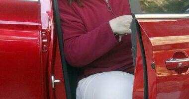 Erin Patterson in the days following the deadly lunch