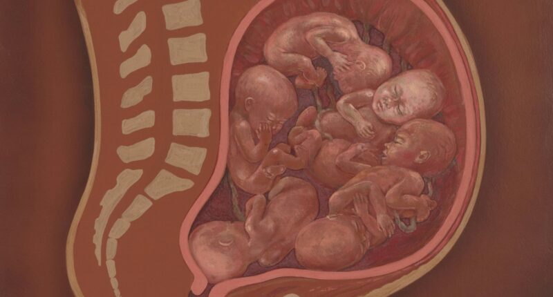 My Stepsister Ran A Surrogacy Ring And Just Got 2 Years In Prison