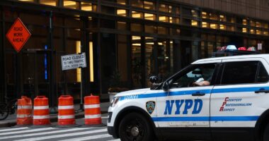 NYPD shared a Palestinian protester's info with ICE. Now it's evidence in her deportation case