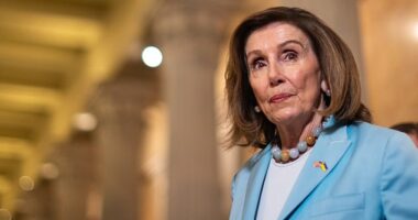 Nancy Pelosi believes former Chicago mayor and White House Chief of Staff Rahm Emanuel is going to run for president in 2028
