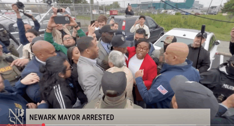New Jersey Rep. Faces Federal Charges After ICE Melee