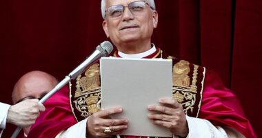 The new Pope, who will be known as Pope Leo XIV, has criticized the Trump administration's moves on immigration repeatedly and expressed support for progressive causes