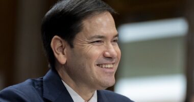 Now It's Marco Rubio's Turn to School Margaret Brennan on South Africans and Refugees – RedState