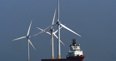 Labour's biggest union backer attacked the Net Zero drive last night, warning that it is set to become a 'political millstone' around the party's neck (file photo)