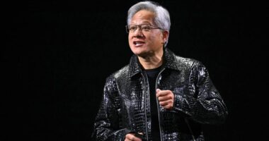 Nvidia’s stock is losing steam, and next week’s earnings could underscore the risks