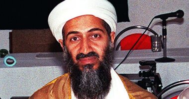 Osama bin Laden documentary receives a perfect Rotten Tomatoes score