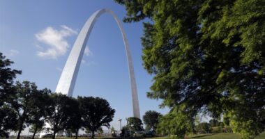 Ousted St. Louis Mayor Gives Standard Democrat Response for Why She Lost the Election – RedState