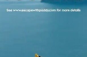 Paddy Power have trolled Man United fans by offering them to 'escape the season from hell'