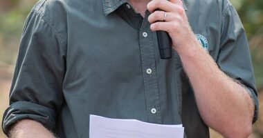 Prince Harry was the charity's president for six years until being elevated to the governing board of directors in 2023. He is said to have been fully involved in plans to change the charity