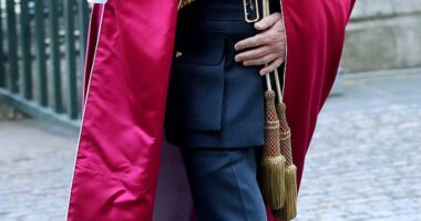 William arrived at Westminster Abbey at around 11am dressed in full regalia - which included a red cloak and various gold embellishments - for the event which is held every four years