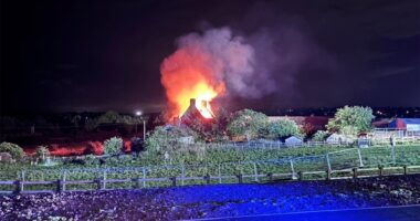 Princess Diana’s former home targeted in ‘suspected arson attack’, her brother Earl Spencer claims