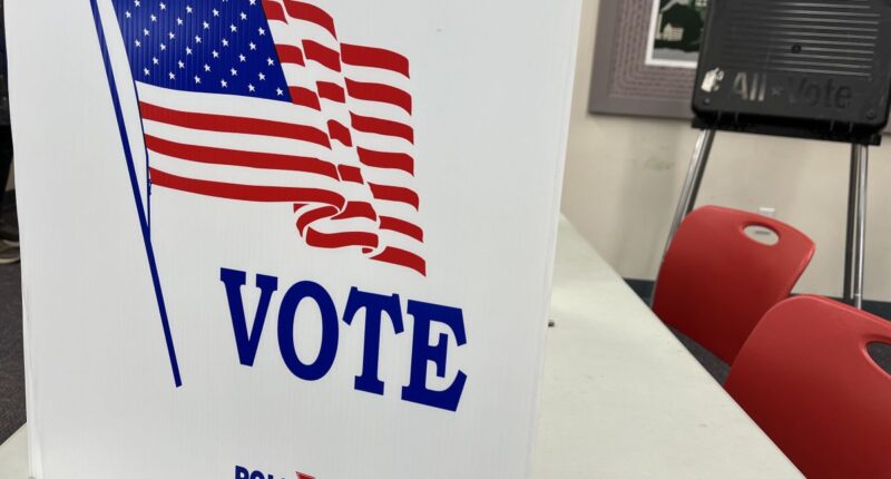 Rare? Now An Iraqi Man Is Charged For Voting In U.S. Election