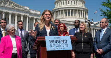 Rep. Brandon Gill Destroys USA Fencing Chairman Smearing Parents Against Trans in Women’s Sports – RedState