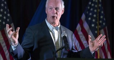 Republican senators, led by MAGA hardliner Ron Johnson of Wisconsin (pictured), with President Trump over his 'Big Beautiful Bill' and vowing to vote against the proposed package