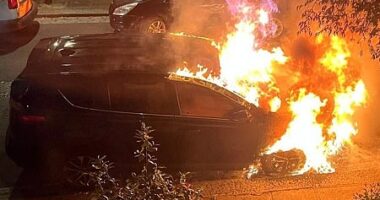 FIRE ONE: Exclusive MailOnline footage shows the dark blue Toyota Rav 4 engulfed in flames as firefighters fought the blaze on VE Day last Thursday