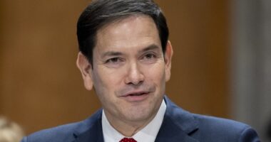 Rubio 2.0 Just Doesn't Care Anymore, Goes Right At Pramila Jayapal During Hearing – RedState