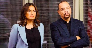 SVU Season 26 Finale Synopsis Hints At A Big Promotion For Benson's New Team